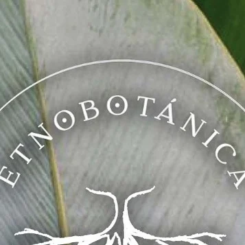 Instagram post from etnobotanicaherbs. This post is in position 13.