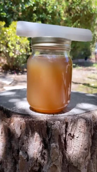 Instagram post from etnobotanicaherbs. This post is in position 9.