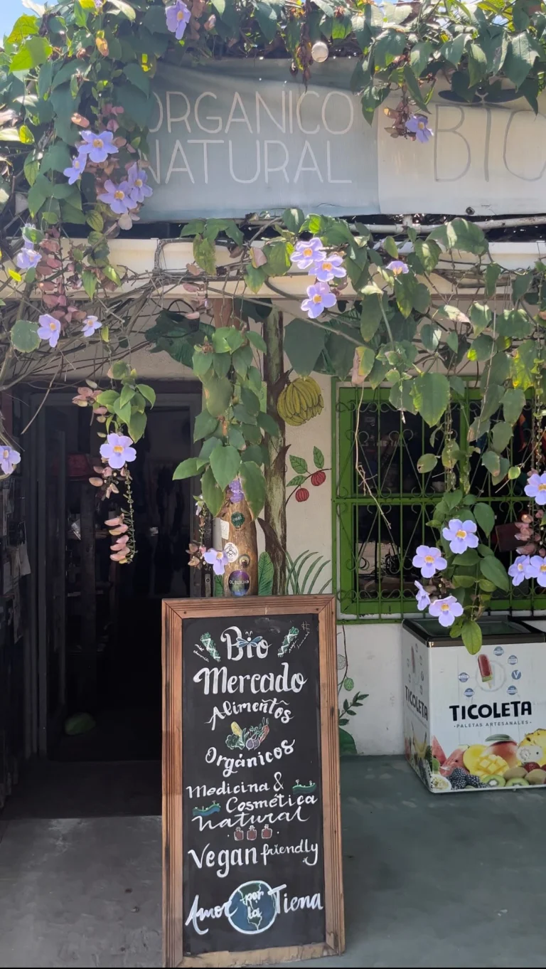 Instagram post from etnobotanicaherbs. This post is in position 6.